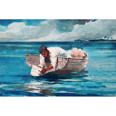 The Water Fan - Winslow Homer